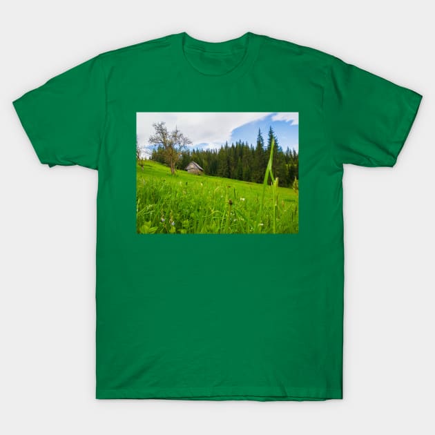 Wooden cottage T-Shirt by psychoshadow